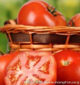 西红柿种子10大品牌 西红柿的10大食疗功效