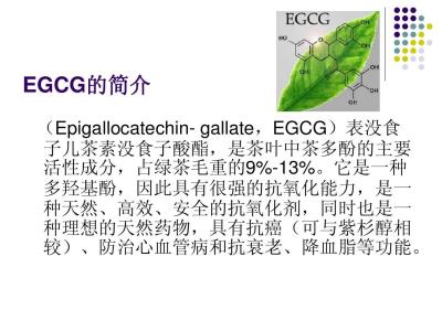 艺术节演讲稿 具有艺术构想成分的演讲稿