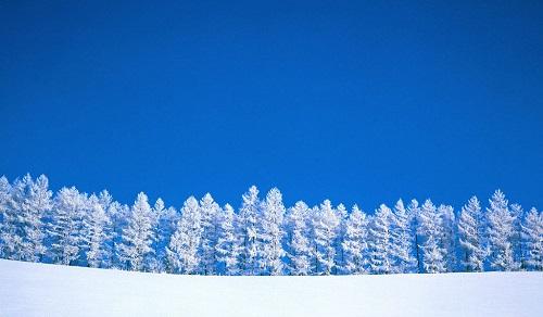 描写冬天雪景的诗句 描写冬天雪景的句子