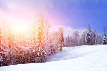 描写冬天阳光的美句 描写冬天阳光的句子