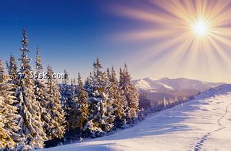 描写冬天景物的作文 描写冬天景物的好段