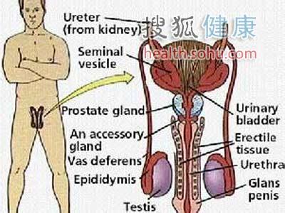 心理健康的新标准 五大健康新标准 你达到了几条？