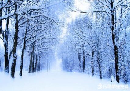 描写雪景的优美句子 描写冬日雪景的优美句子