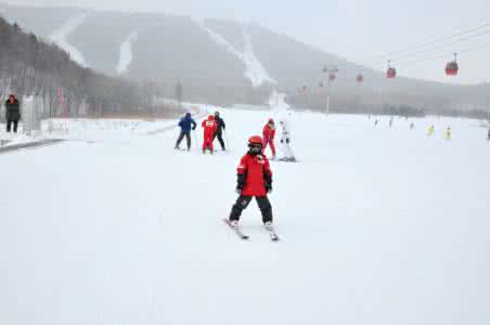 小学生2年级作文大全 关于滑雪的作文大全(2)