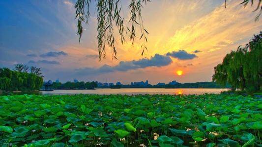 美丽的风景夏天么 夏天美丽景色的句子