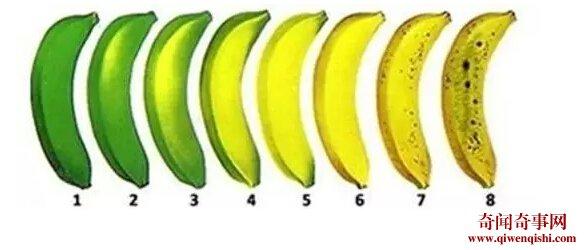 香蕉有斑点能吃吗 什么叫万能的斑点香蕉