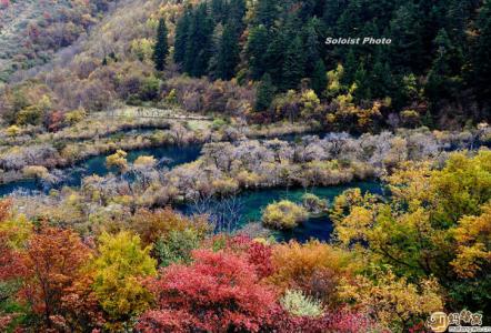 适合秋天旅游的地方 秋天适合去哪里旅游