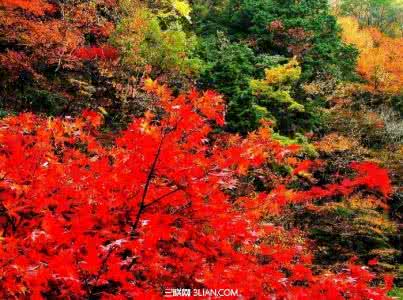 秋天去哪里玩 秋天去哪里旅游