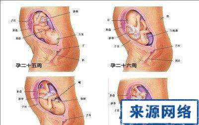 孕期五个月胎儿大小 胎儿偏大怎么办？孕期控制胎儿大小方法介绍