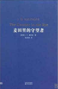 麦田里的守望者读后感 麦田里的守望者读后感大全