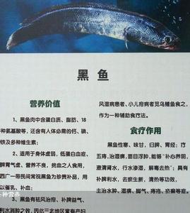 黑鱼的营养价值及功效 黑鱼的营养价值有哪些