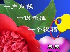 三八妇女节搞笑祝福语 QQ上专用发送的三八妇女节搞笑祝福