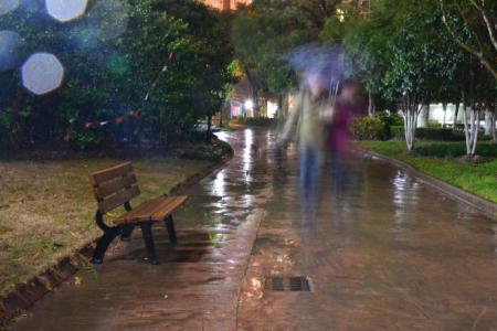 雨的遐想汪国真 雨的遐想