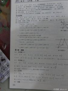 暑假作业答案七年级下 2015年七年级下册数学暑假作业答案