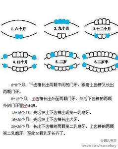 宝宝出牙顺序图 宝宝出牙的时间与顺序