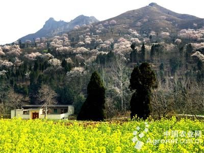 我国生态旅游发展现状 生态旅游介绍以及其发展现状