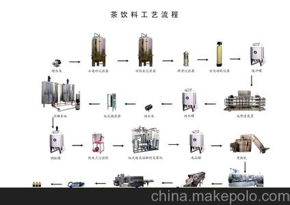 六种水果茶饮料的做法 茶饮料做法大全