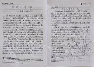 读书笔记400字 伤仲永读书笔记400字