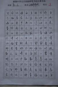 赞美老师的作文600字 赞美中国的作文600字