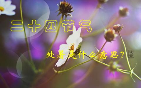 二十四节气处暑的来历 二十四节气处暑是什么意思