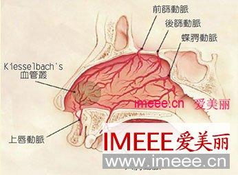 鼻出血的常见原因 鼻出血的10种原因