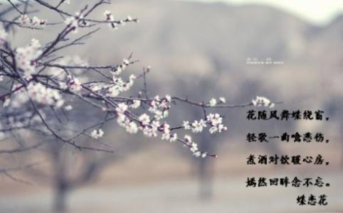 落花殇小说江子笙 落花殇