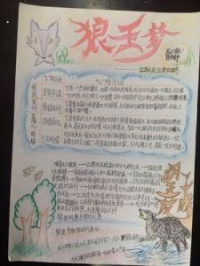 《狼王梦》读后感400字 《狼王梦》读书笔记