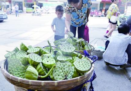 游兰溪阅读练习及答案