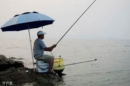 西风钓鱼好不好钓鱼 风对钓鱼的影响