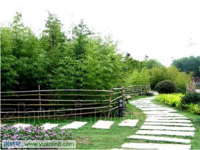 森林公园规划设计 竹子公园规划设计