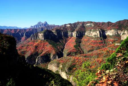 北京大峡谷 北京红叶大峡谷