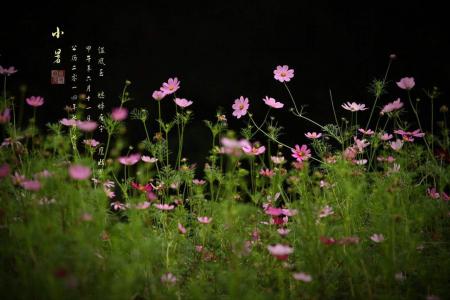 小暑节气的民间习俗