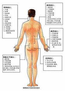 常见传染病及预防 妇女常见腰骶痛的预防