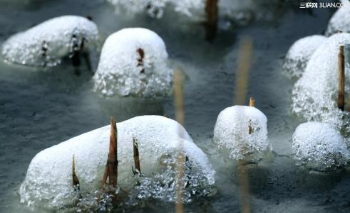 喝凉水能化鱼刺 白雪化去，凉水会浸地