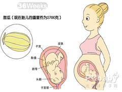 怀孕36周饮食 怀孕36周的饮食要求