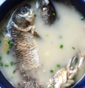 养肾的方法八种 一种鱼汤很养肾