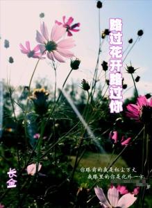 路过花开主题曲 路过花开