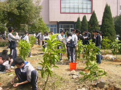植树节活动计划 学校植树节活动计划
