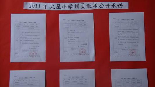 小学团支部工作总结 小学团支部工作总结  三篇