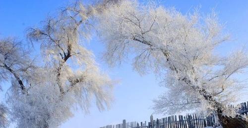 雪落的声音 爱雪，聆听雪落的声音