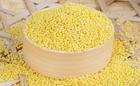 大黄米与小米哪个更好 黄米营养价值