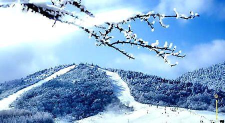 冬季去哪里旅游比较好 冬季去哪里旅游最好？