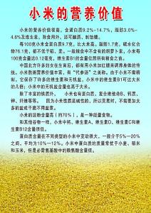 小米的营养价值及功效 小米有什么营养价值及功效