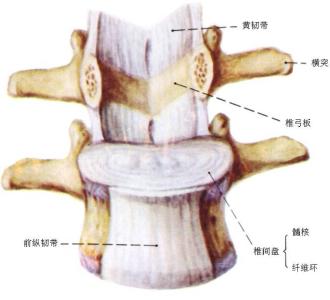 椎间盘突出的中医疗法 中医如何治疗腰间盘突出