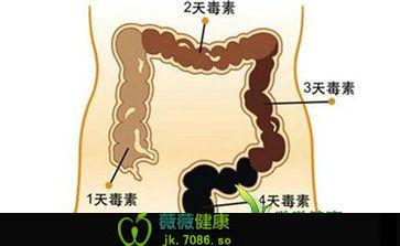 肠道毒素 肠道内有毒素6大表现