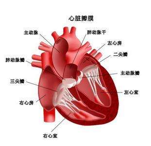 人体所需的六大营养素 7部位所需营养不同