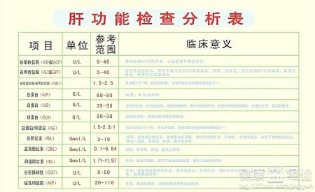 肝功能五项是哪五项 肝功能五项多少钱