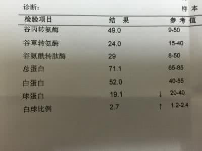 肝功能五项对照表 肝功能五项是哪五项