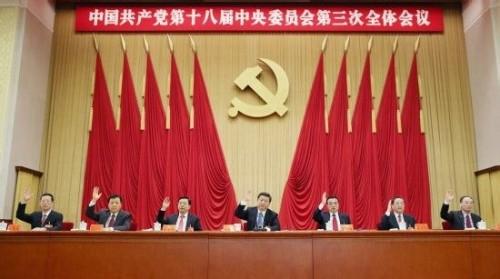 基层党支部预备党员学习十八届三中全会心得体会