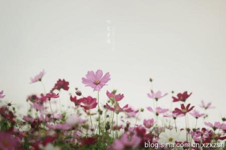 一念释然,一念放下意思 一念释然,一念放下